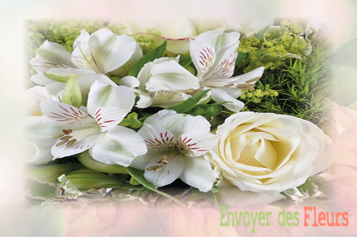 envoyer des fleurs à à VILLERS-LE-CHATEAU